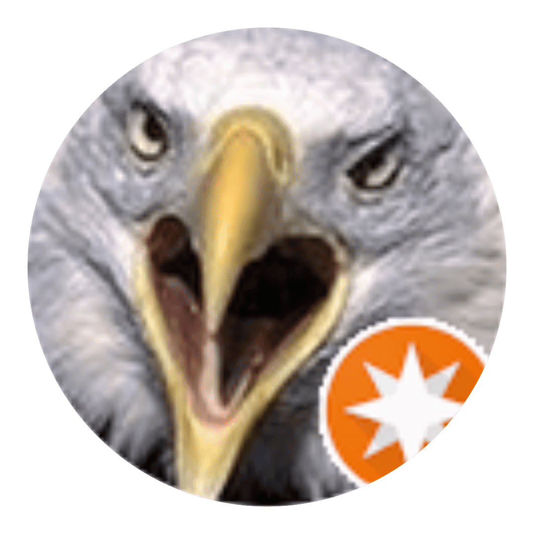 A close up of an eagle 's face with the star symbol in front.