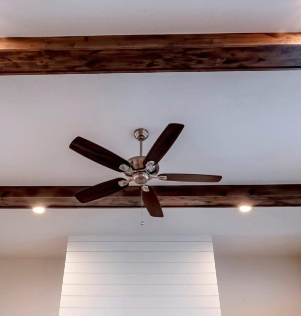 ceiling fan with lights
