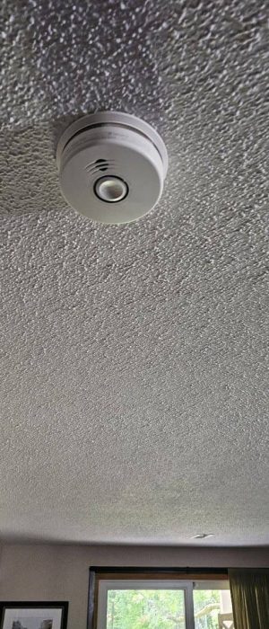 smoke detector 2
