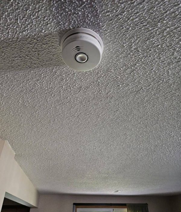 smoke detector 2